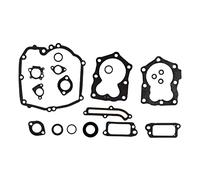 Cylinman Ensemble de joints moteur 590508 pour Briggs & Stratton 590508 794307 497316