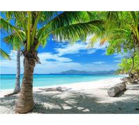 CYLYH Toile de fond d'été 2,1 x 1,5 m pour photographie, coucher de soleil hawaïen, bord de mer, océan, palmier pour mariage, fête d'anniversaire, fête prénatale D428