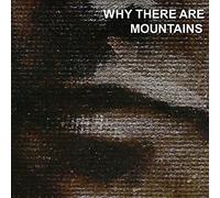Cymbals Eat Guitars - Why There Are Mountains