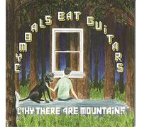 Cymbals Eat Guitars - Why There are Mountains [Import]