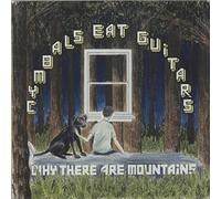 Cymbals Eat Guitars - Why There are Mountains [Import]