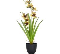 Cymbidium artificiel orchidée 55cm vert-jaune dans pot plastique 11,5x10,5cm plante calme