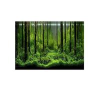 CYMMIYT Fond Aquarium Affiche de Fond réservoir forêt sous-Marine adhésive en PVC, Papier décoration imperméable(61x41cm)