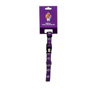 CyP Brands Real Valladolid Collier Accessoires pour Animaux de Compagnie Taille M Violet Produit Officiel
