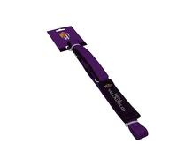 CyP Brands Real Valladolid Laisse pour Chien Cordes Accessoires pour Animaux de Compagnie Violet Produit Officiel