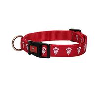 CYPBRANDS Albacete Balompié Collier pour Chien Taille M