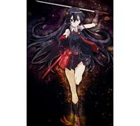 CYQFEZ 1000 Pièces，Japanese Animes Akames GA Kills Posters ，Coloré Puzzle, Puzzle Personnalisé pour Enfants Et Adultes Gifts,Yz540Wz