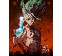 CYQFEZ Puzzle 1000 Pièces Bois Science Fiction Aventure Anime Dr.Stone Ishigami Posters Jeu Coloré pour Toute La Famille Adulte Nw31Zq