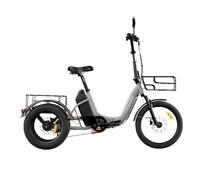 Cysum AG1 Pro Aluminum Tricycle 750W 48V 20Ah 100km Range Hydraulic Brakes 3-Wheel Reverse Function 50kg Load