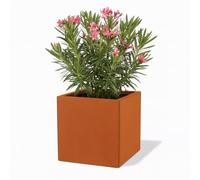 Czaja Corten Steel Fiorella Pot de fleurs 50 x 50 x 50 cm avec plaque de sol - Fabriqué en Allemagne - Pot de fleurs carré décoratif en rouille - Résistant aux intempéries et durable - Pour jardin