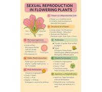 CZMDKEXM Biology Educational Poster Plant Reproduction in Flowering Plants Chart for Students Classroom Hospital Office Decor(Framed,16x24inch(40x60cm))