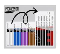 CZMDKEXM Brazilian Jiu Jitsu BJJ Belt Progression Chart Rank Order Poster for Dojo Training Room Gym Wall-Art Decor 8 X 12 in