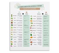 CZMDKEXM Educational Kitchen Decor Gardening Poster Seed Starting Times and Companion Planting Chart for Growing Vegetables Wall-Art 8 X 12 in