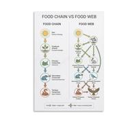 CZMDKEXM Food Chain Poster Biology Ecosystem Transfer Study Wall-Art | Covers predator prey relationships and nutrient cycling basics(Framed,16X24inch(40X60cm))