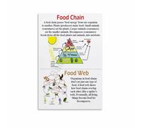 CZMDKEXM Food Chain Web Ecosystem Chart Science Education Poster Print Wall-Art Decor for Classroom Home Bedroom Living Room(Unframed,08x12inch(20x30cm))