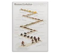 CZMDKEXM Human Evolution Timeline Chart Metal Sign From Ape to Man Educational Science Diagram Classroom Office Home Wall Decor 8 X 12 in
