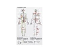 CZMDKEXM Metal Tin Sign For TCM Study Meridian Chart And Acupuncture Points Five Elements Theory Traditional Chinese Medicine Educational Reference Guide 8 X 12 in