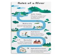 CZMDKEXM Waterway Ecosystem Poster River Types Science Learning Aid | Connects river geomorphology to food webs migration corridors and water filtration services(Framed,12x18inch(30x45cm))