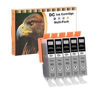 D&C CLI 521 Cartouches d'encre compatibles pour Canon CLI-521 GY pour Canon Pixma IP3600 IP4600 IP4600X IP4700 MP540 MP550 MP560 MP620 MP630 MP640 MP640R MP980 MP990 MX860 MX870 (5 Gris)