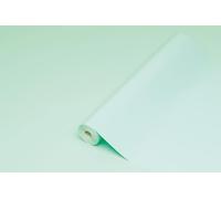 d-c-fix film adhésif pour meuble décoratif - Menthe 45 cm x 2 m