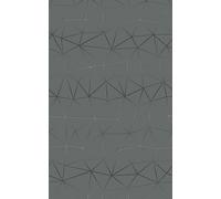 d-c-fix Papier adhésif pour meuble Tico Argent – rouleau vinyle autocollant 45 x 2 m