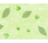 d-c-fix Nappe ronde Manhattan Nancy – en toile cirée anti-salissures – Vert 150 cm