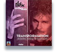 D.C. Larue - Cathédrales : Transformation