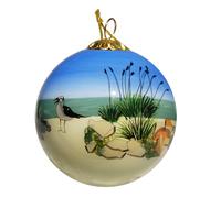 D coration de No l en verre souffl | Plage et oiseaux, Floride | Int rieur peint la main | uvre originale | Coffret cadeau inclus