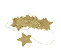 D¨¦coration ¨¤ Suspendre en Forme D'¨¦toile de 8 Cm, D¨¦coration de Pi¨¨ces ¨¦tincelantes de 2, 5 M de Long avec ¨¦toiles Suspendues en Cuir Syrien pour Mur, Plafond, Fen¨ºtre, F¨ºtes de