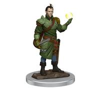 D&D Figurines peintes haut de gamme Demi-elfe Barde mâle