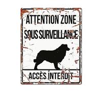 D&D Home, Panneau d'Avertissement Attention au Chien, 20x25 cm, Version Française, Fond Blanc, Panneau d'avertissement en métal résistant à la Rouille avec Un Texte Amusant