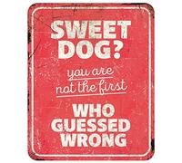 D&D Home, Panneau d'Avertissement Attention au Chien, 25x20x0,3 cm, Version Anglaise, Fond Rouge, Panneau d'avertissement en métal résistant à la Rouille avec Un Texte Amusant