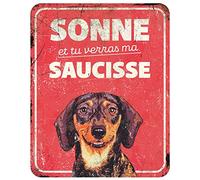 D&D Home, Panneau d'Avertissement Attention au Chien, 25x20x0,3 cm, Version française, Fond Rouge, Panneau d'avertissement en métal résistant à la Rouille avec Un Texte Amusant