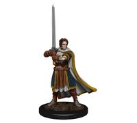 D&D Icons of the Realms Premium Miniature pre-painted Human Cleric Male