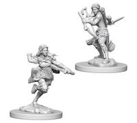 D&D NOLZUR'S MARVELOUS Figurines Non Peintes Air Genasi Femme Voleuse (Lot De 6)