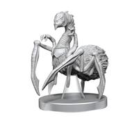 D&D Nolzur's Marvelous Miniatures : Neogi & Space Anguille (Précommande)
