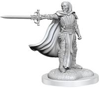D&D NOLZURS MARVELOUS UNPAINTED MINIATURES (W20) CHEVALIERS DE LA MORT