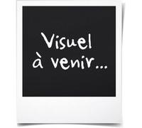 D.i.y with toga lot de 12 mini seaux galvanisés G