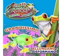 D-KIDZ- Nature Rettili e Anfibi Crazy Rettiles & Anfibes (Assortiment), DIM02124P, Multicolore