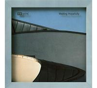 D-Note - Waiting Hopefully [Import]