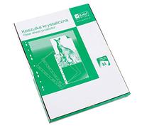 D.RECT - Pochettes Perforées - Format A4-55 Microns - Paquet de 100 Unités - Transparent Perforé - Lisse - Poches en Polypropylène - Pochettes Perforées de Qualité - Emballage de Carton 009031