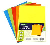 D.RECT Papier Couleur A4 100 Feuilles - Papier Imprimante pour Jet d’Encre et Laser - Lot 5 Couleurs pour Classement et Organisation