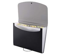 D.RECT Porte-documents extensible | Trieur de documents | Trieur de documents | Trieur de documents A4 | 12 compartiments A4 | Parfait pour le bureau ou la maison | Noir