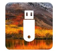 D-S Systems Clé d’Installation Compatible avec macOS 10.13 High Sierra