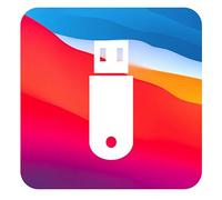 D-S Systems Installation Compatible avec macOS 11 Big sur | Clé USB Amorçable Récupération Bootable Installation / Update / Downgrade