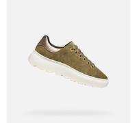 D Spherica Ec4.1 - 41