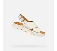 D Xand 2.1s - 37