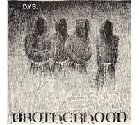 D.Y.S. Brotherhood (Vinyl) 12" Album