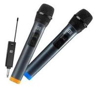 D2 Diffusion Microphones DII sans fil omnidirectionnel récepteur rechargeable jack 6,35 mm Pack 2