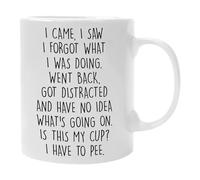 D95COCC - Tasse à café en céramique avec inscription « I Came I Saw I Forgot What I Was Doing » - Cadeau amusant pour personnes âgées, grand-mère, grand-père, maman, papa, tante, cadeau